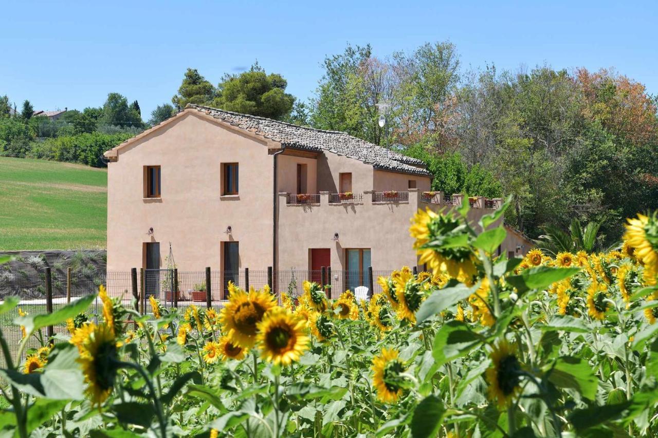 Casa Montefiore 13 Girasoli Lt Nella Tranquilla Campagna Marchigiana Ancona Eksteriør bilde