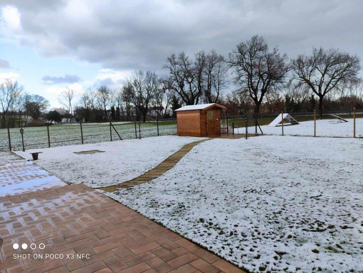 Casa Montefiore 13 Girasoli Lt Nella Tranquilla Campagna Marchigiana Ancona Eksteriør bilde